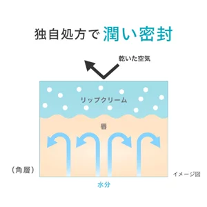 潤いを閉じ込める処方についてのメーカー説明図。効果の個人差を示す測定画像ではありません。図:花王。